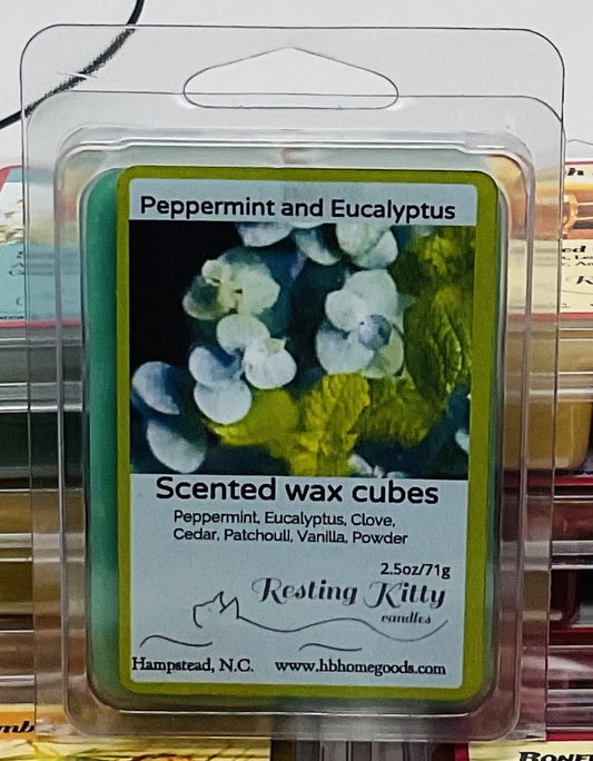 Peppermint and Eucalyptus Wax Melts