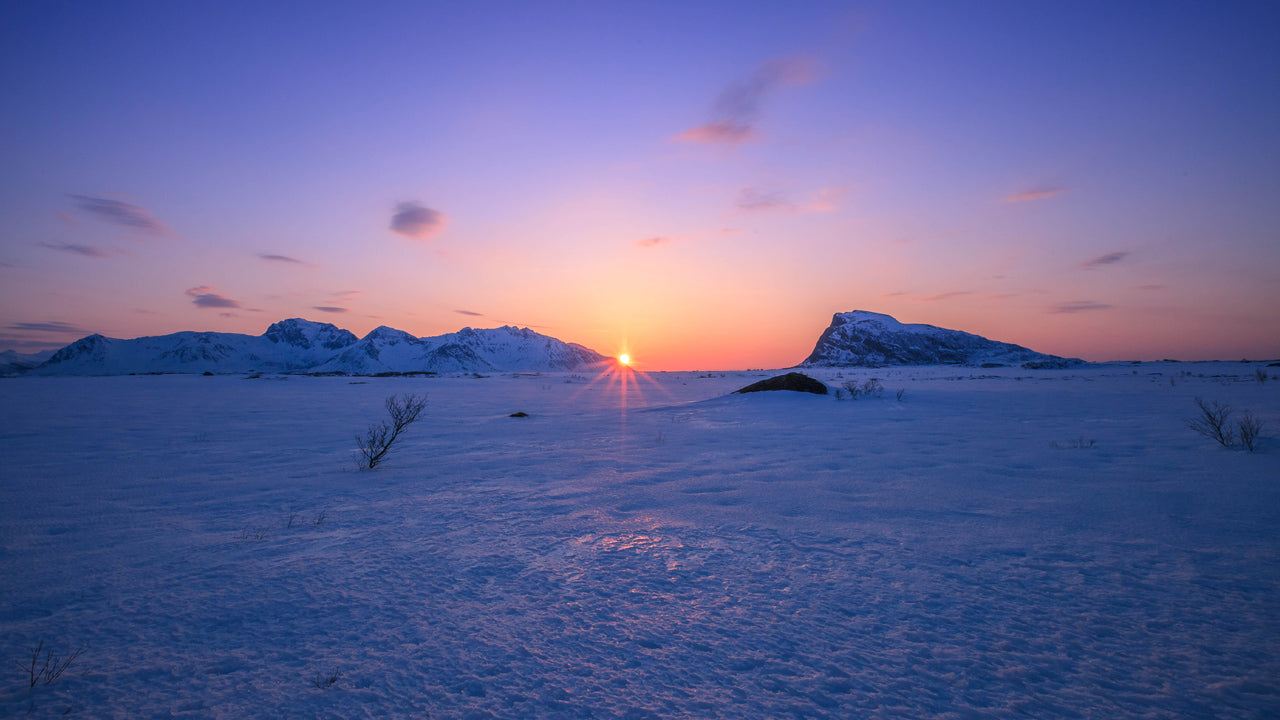 Tundra Twilight